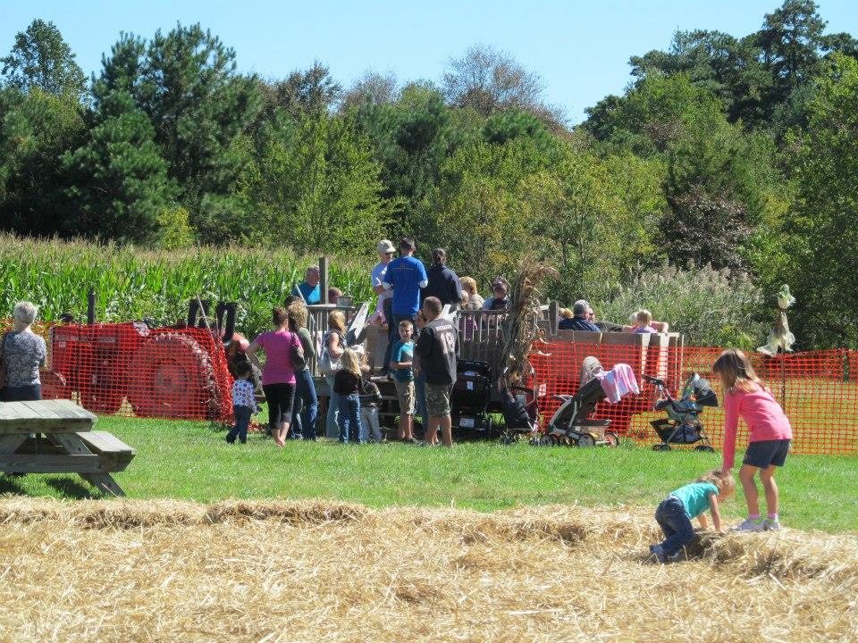 Shady brook farm coupons