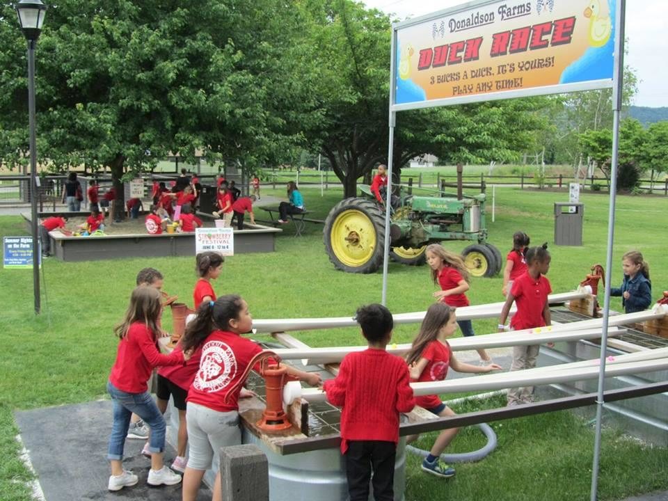 The Pumpkin Patch Hackettstown Nj Reviews The Pumpkin Patch Hackettstown Nj Reviews
