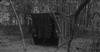Yaphank Trail of Terror